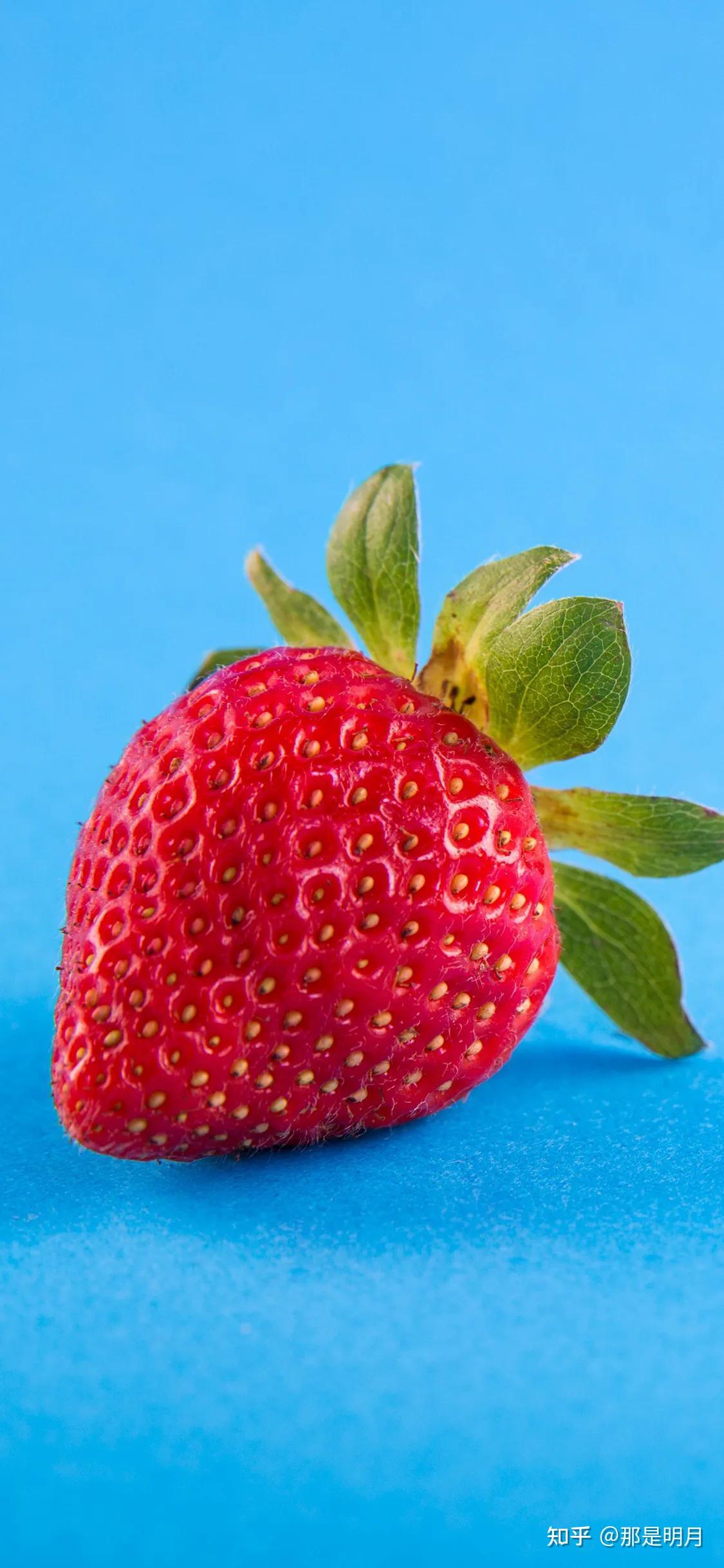 有没有很好看的草莓系列壁纸