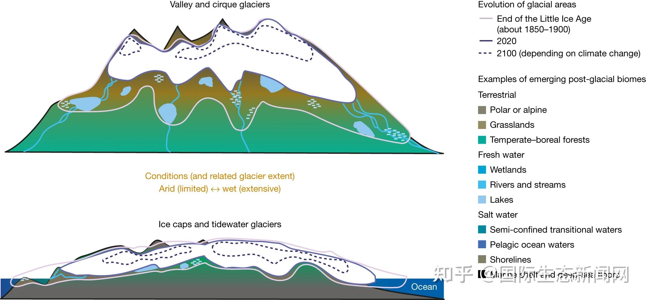 Nature:冰川退缩导致新生态系统的未来出现 - 知乎