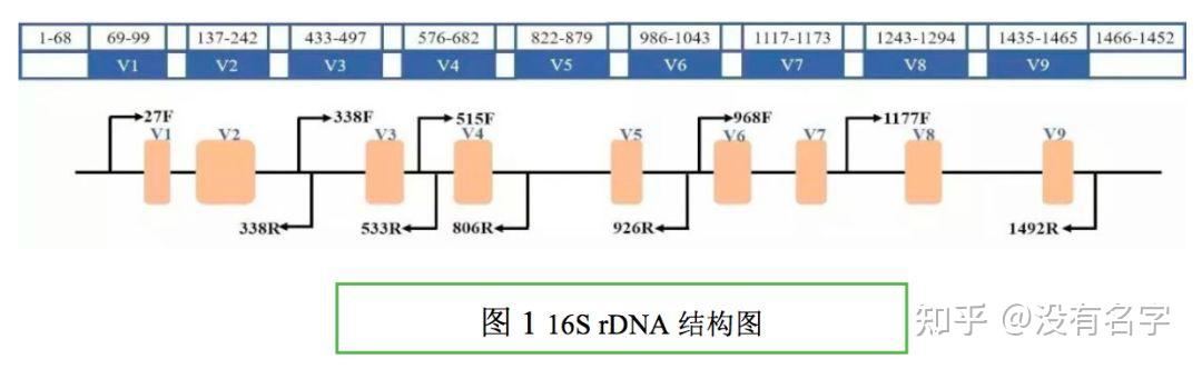 16s R 16S测序简介 - 知乎