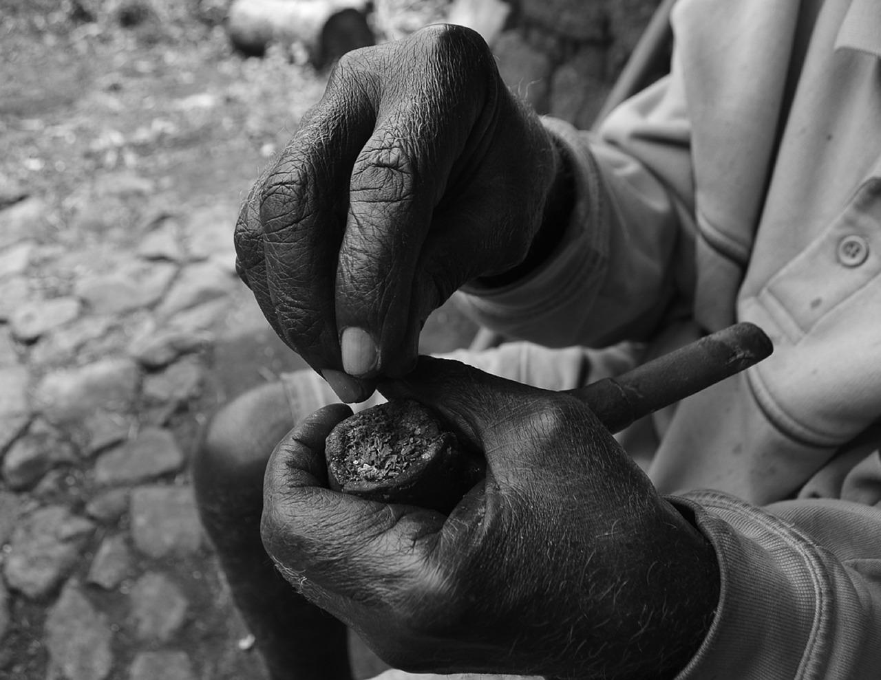 如何消除蚂蚁烟丝