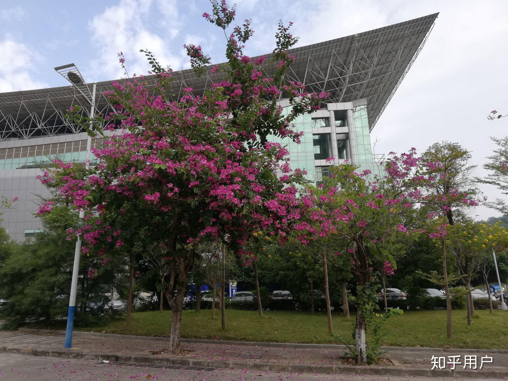 伟德国际高校历年录取分数线查询