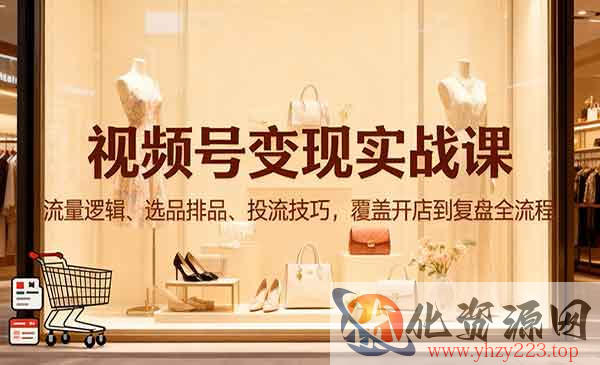 视频号变现实战_wwz