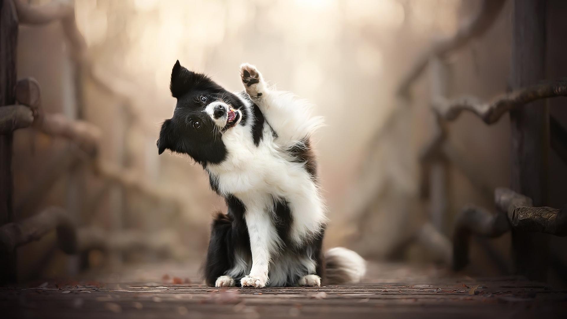 有哪些有个性的电脑桌面壁纸