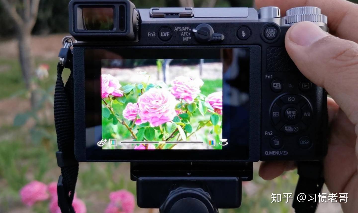 Panasonic收購鏡頭