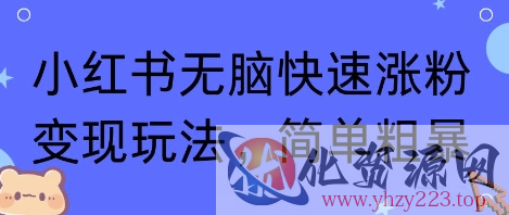 小红书无脑快速涨粉变现玩法，简单粗暴