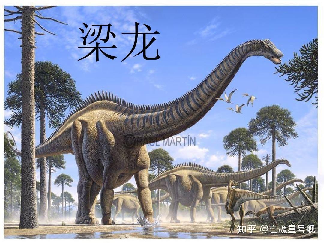 如何区分梁龙,雷龙,震龙,腕龙,马门溪龙? - 知乎