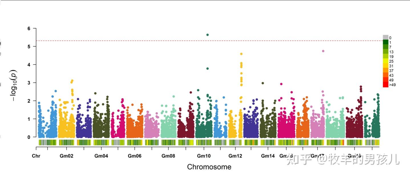 Gwas R Code R语言rMVP包做GWAS(全基因组关联分析)分析实例 - 知乎