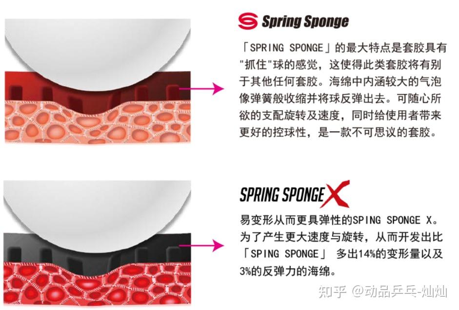 蝴蝶乒乓套胶的最新分类解析 - 知乎