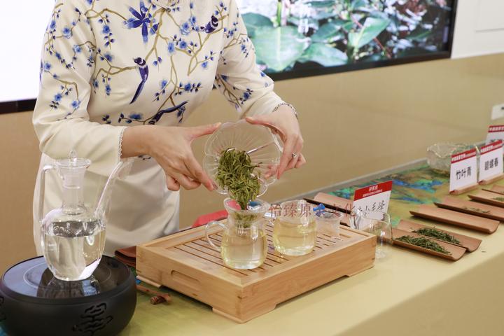 春茶科普干货专业评茶师带你辨别真假龙井