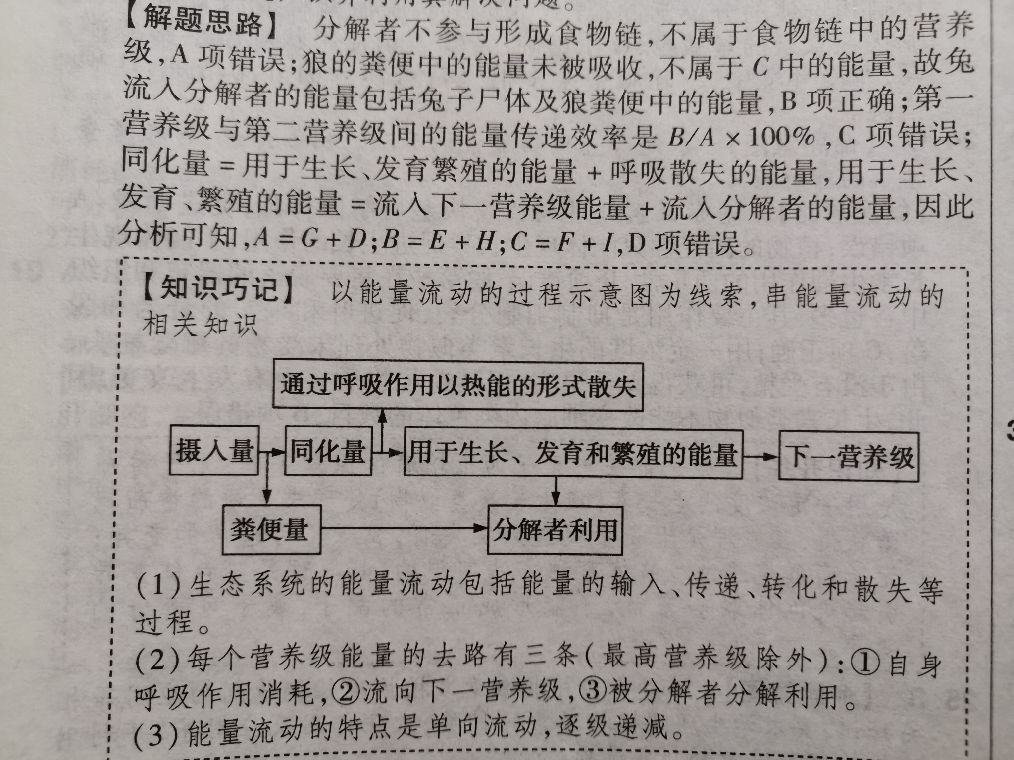 高中生物中同化量是什么意思