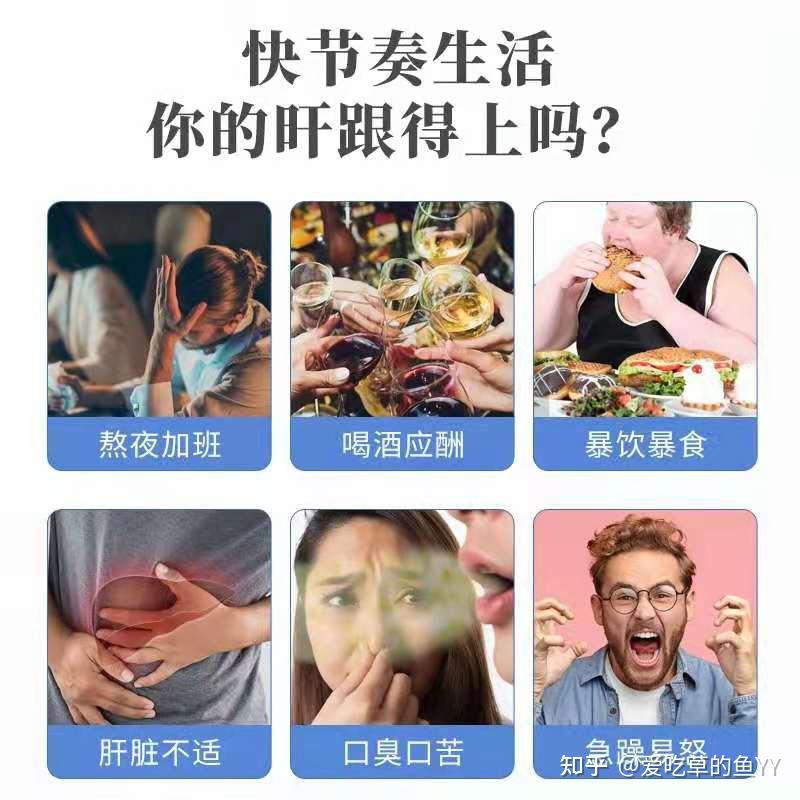 尚维麦素是啥能养肝吗