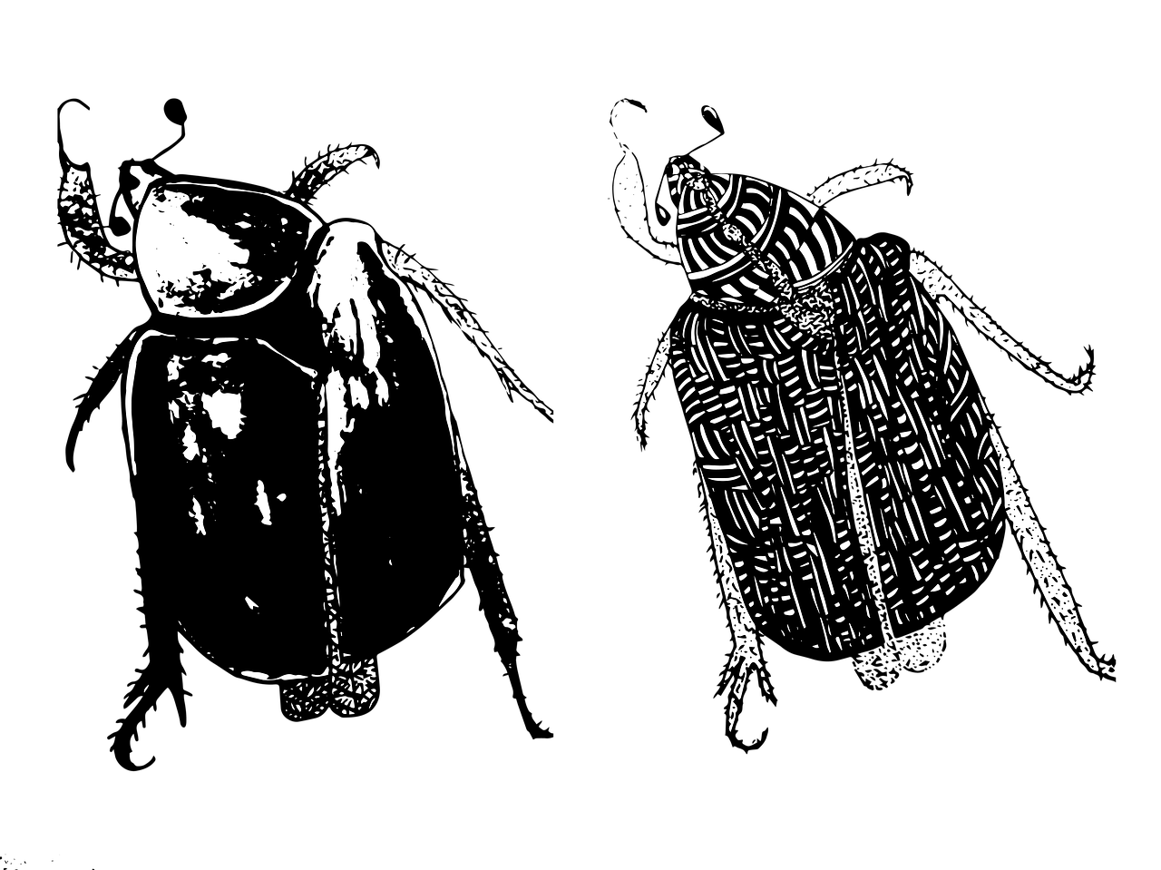 3. 饮食习惯影响