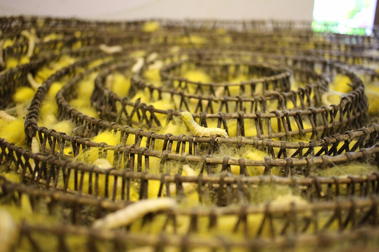 柬埔寨房产投资回报