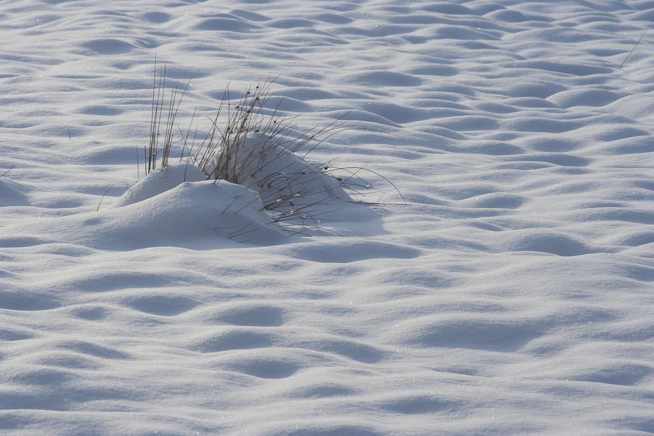 4. 窗帘选材降温