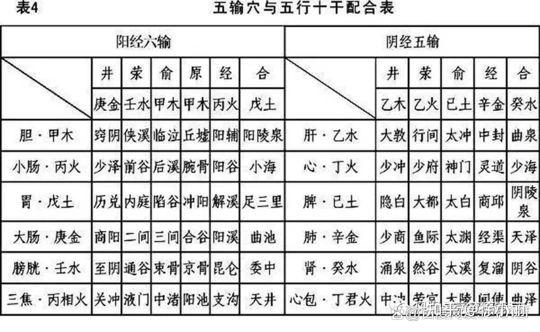 人体五腧穴详细讲解 - 知乎