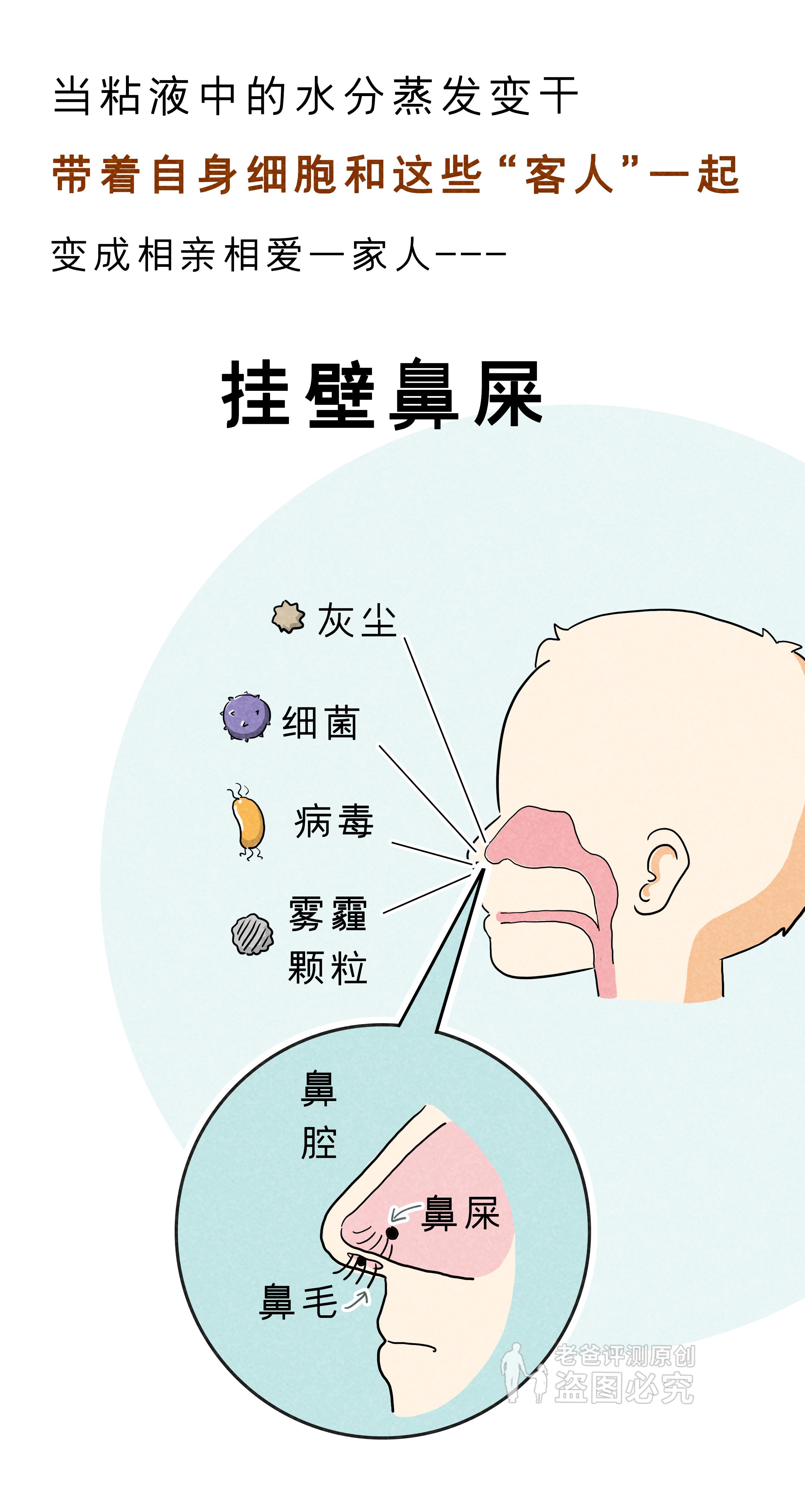 挖鼻孔真的会让鼻子变大吗? - 知乎