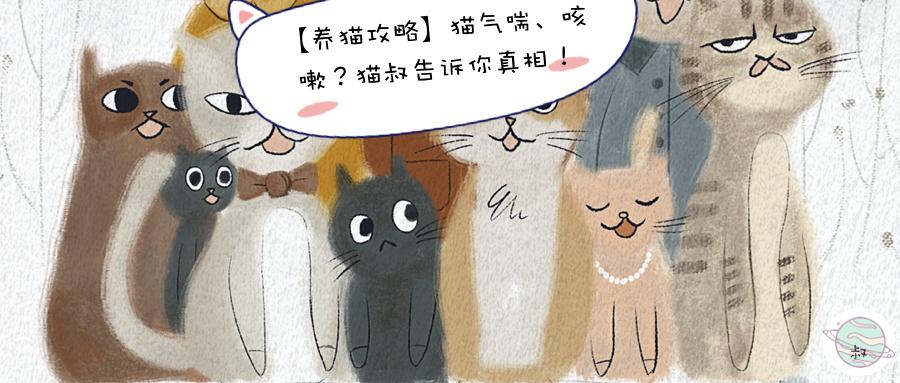 养猫攻略 猫气喘 咳嗽 猫叔告诉你真相 知乎 养猫攻略 猫气喘 咳嗽 猫叔告诉你真相 知乎
