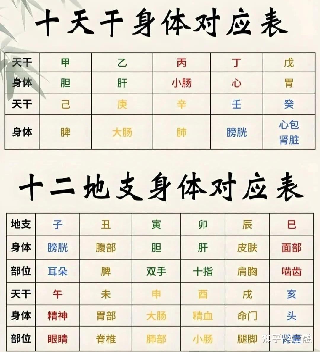 天干地支与人体部位对应表 - 知乎