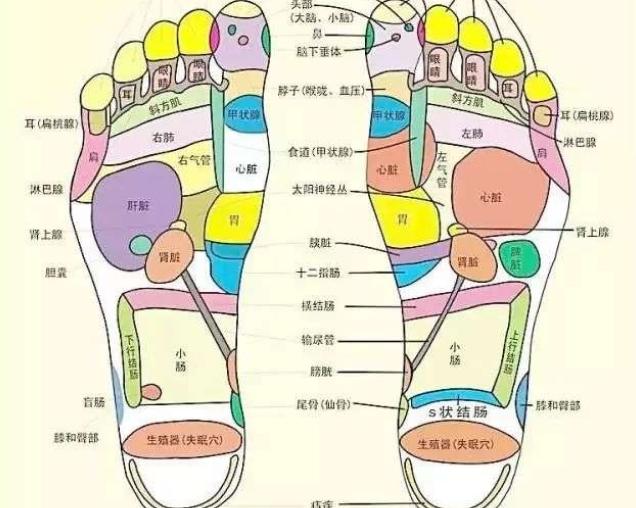 上病取下,百病治足!! - 知乎