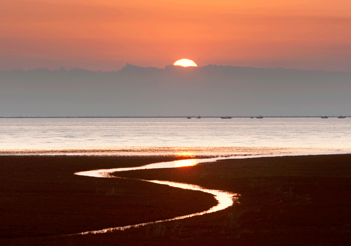 古诗中的"鲤庭","烟霞","罗浮","青鸟"都是什么意思?涨知识了