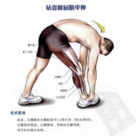 如何完成标准的波比跳burpee动作