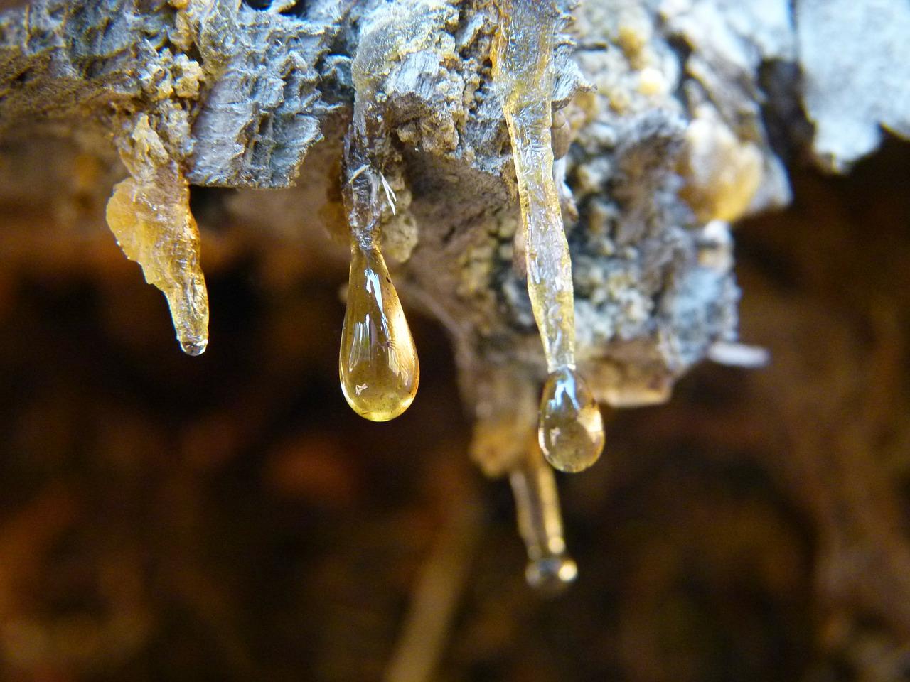 5. 蜂蜡固化时间