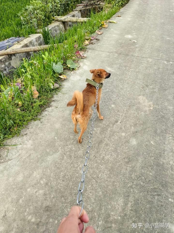 人，可以废物到什么程度？