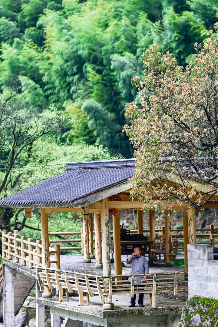 将一杯茶喝到无味，将平平日子过到无悔 - 知乎