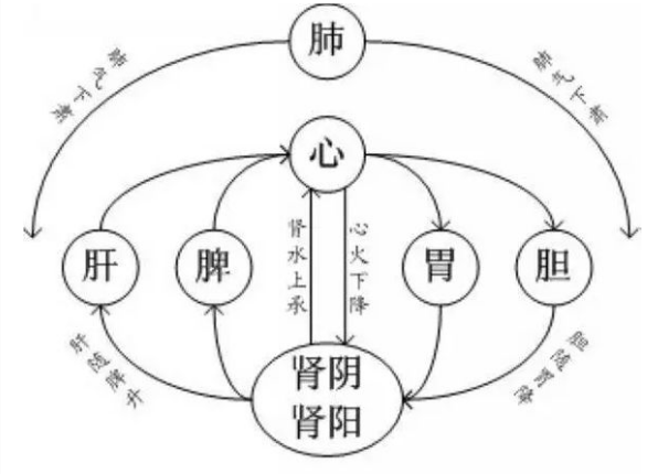 中医的整体性观念是什么意思? - 知乎