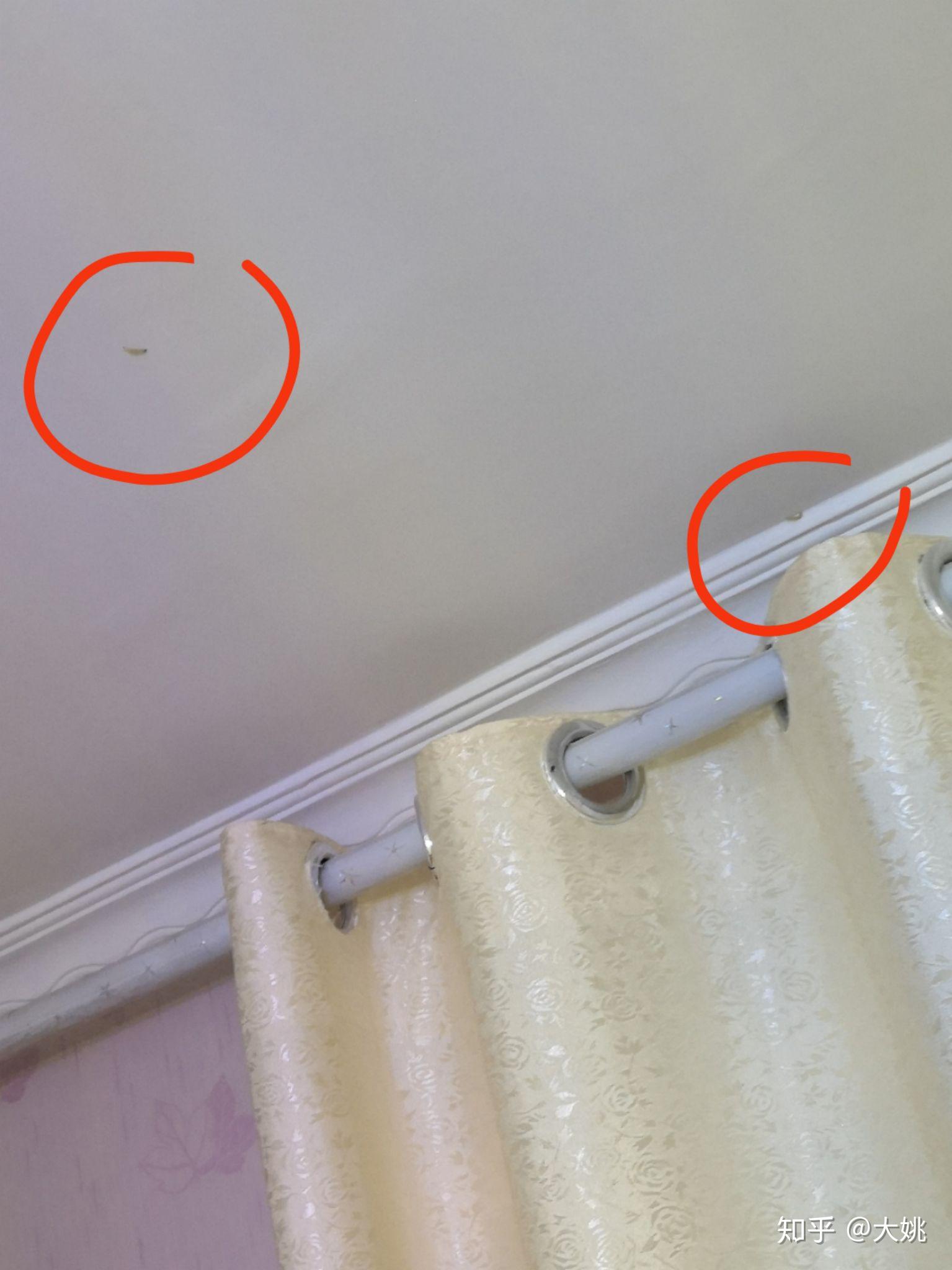 墙上天花板上有白色蠕动的虫子这是什么? 