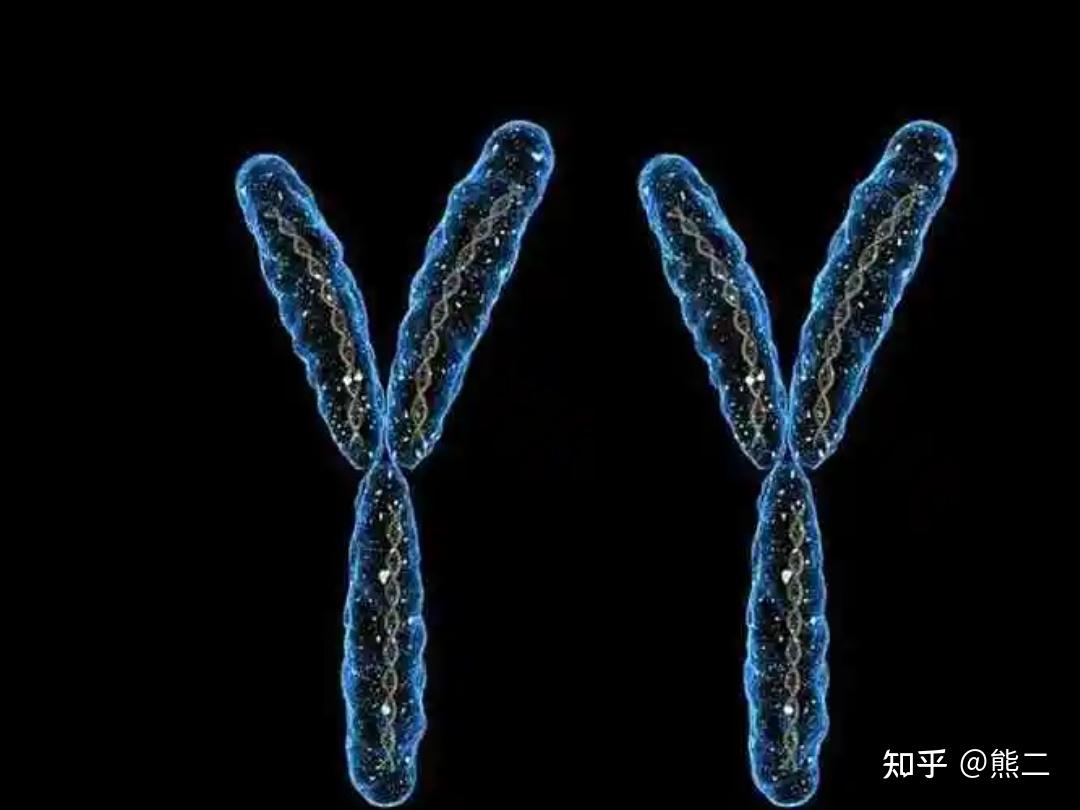 显性基因是不是比隐形基因更优秀? - 知乎