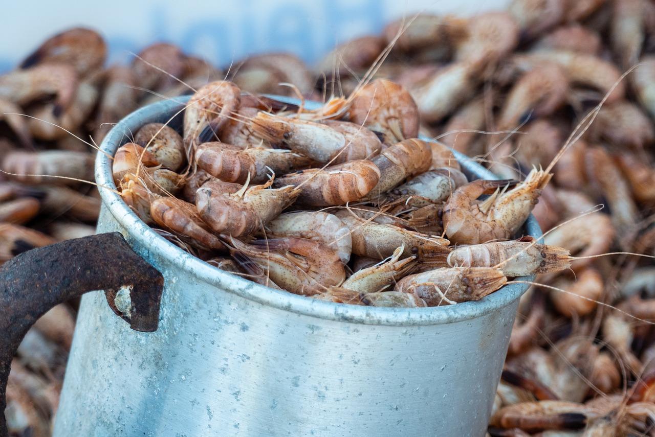 螃蟹的生活习性