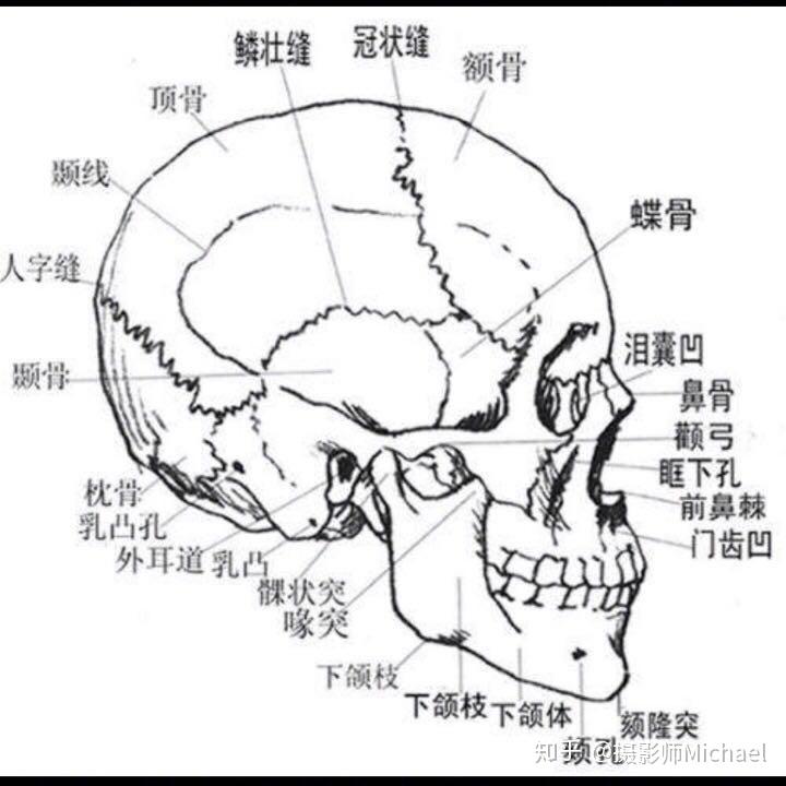 顶颌位图图片