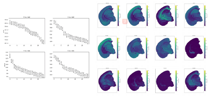 空间代谢组学-空间代谢组项目FAQ - 知乎