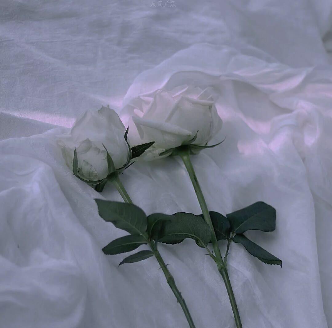 有什么配图的高级感朋友圈文案吗字数精炼不要太矫情