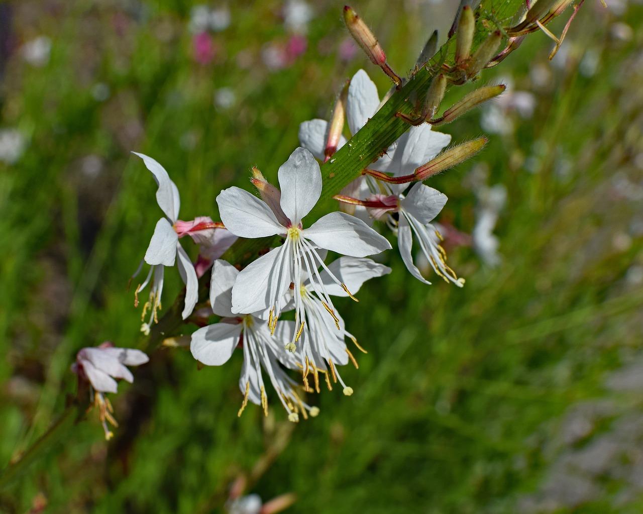 2. 通气透水花盆