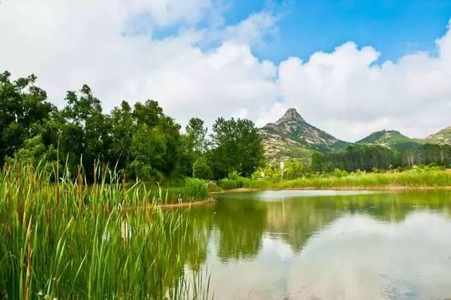 v2-fe001deb78705d47dcfaf437f1b61a51_1440w.jpg?source=172ae18b