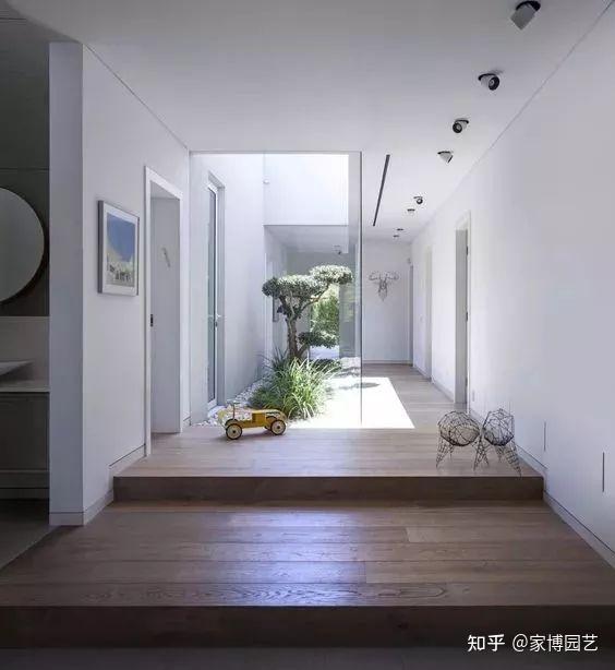 家博园艺|在室内与自然相遇——关于室内空间造景 - 知乎