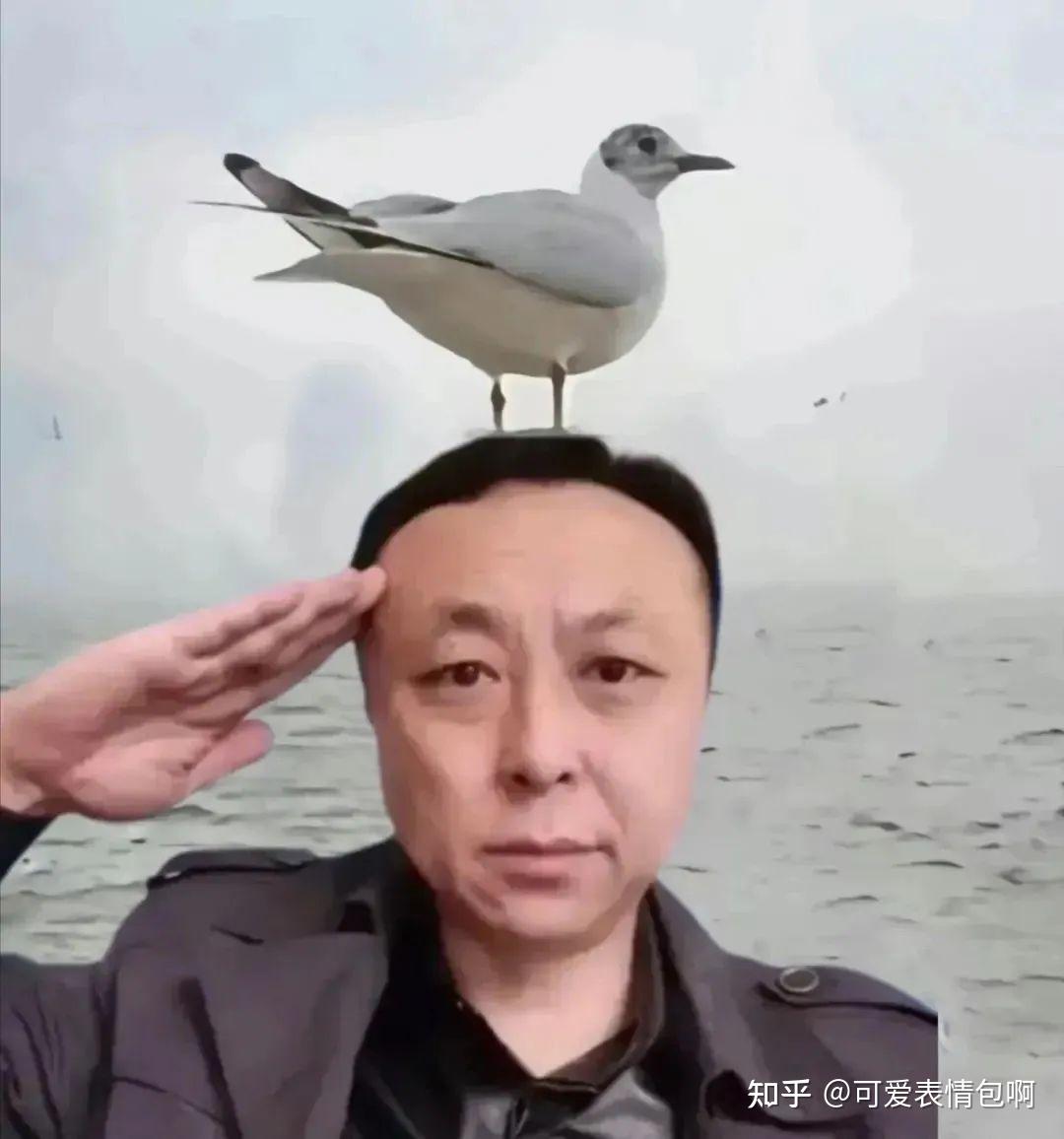 神鹰黑手哥王雷表情包(老B灯) - 知乎