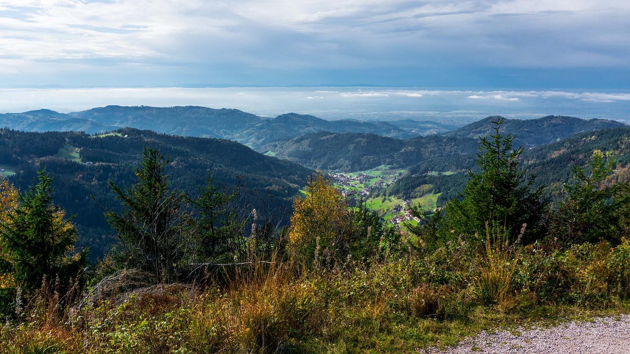 红松东路学区房源