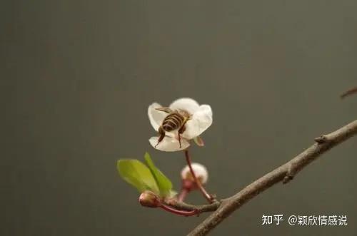 女人外遇前的征兆，男人早知早挽救婚姻！ - 知乎