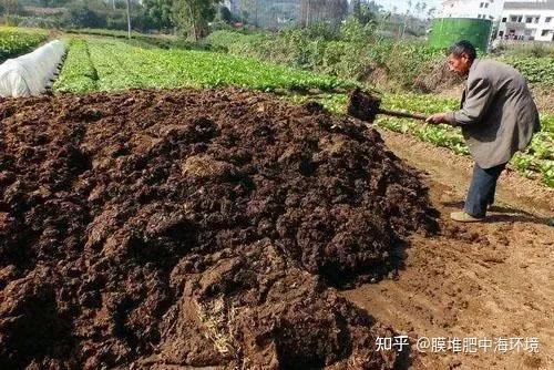 鸡粪、鸭粪、牛粪、猪粪、羊粪特点,这篇文章终于讲明白了 - 知乎