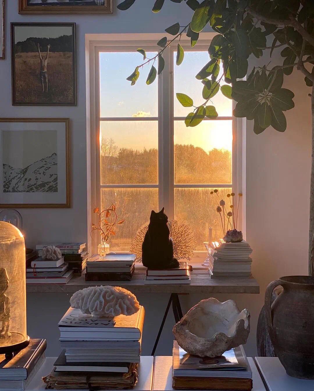 有什么看起来很舒服高级的微信背景图