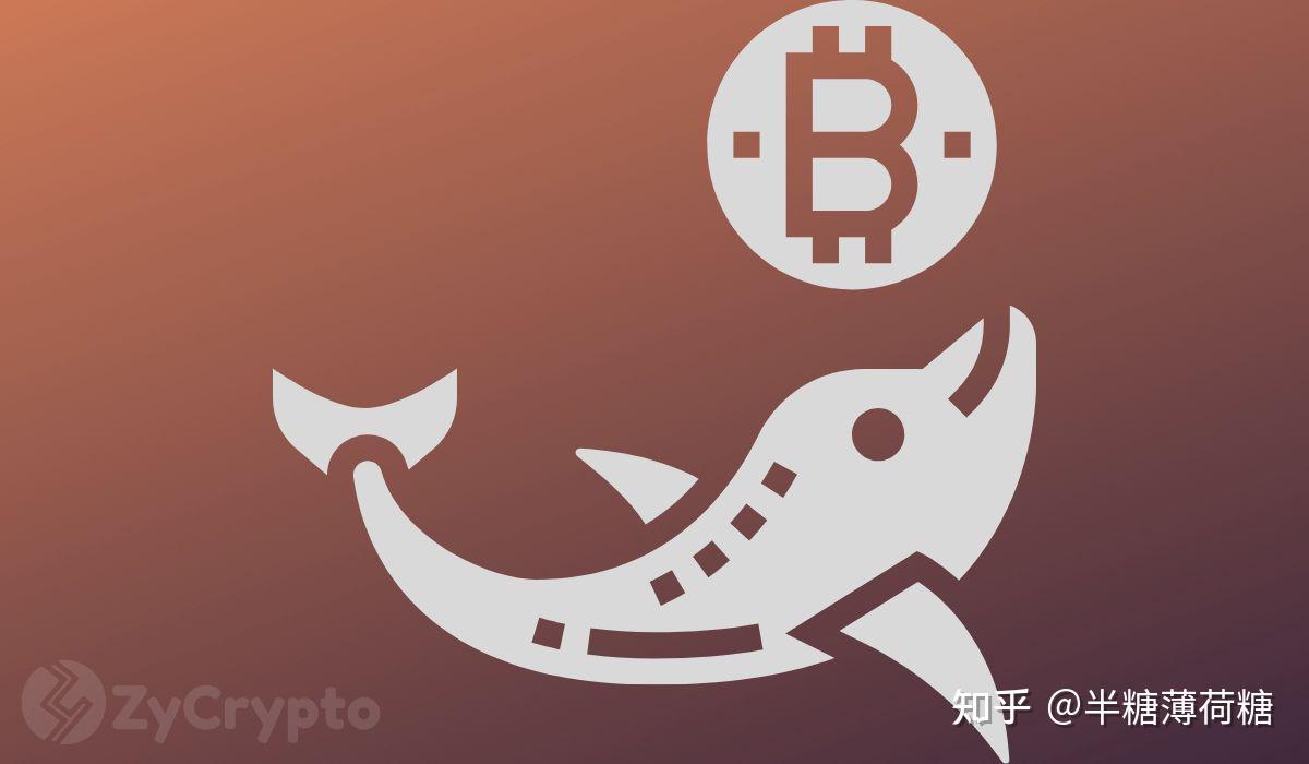 比特币（BTC）鲸鱼大量囤积，准备将BTC 推升至30,000 美元- 知乎