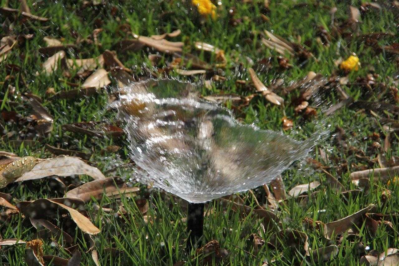 如何正确使用坐浴盆