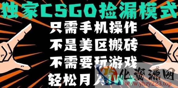 CSGO自动捡漏项目，最新独家玩法，不是美区搬砖，不需要了解和玩游戏，新手小白轻松月入1W+【揭秘】