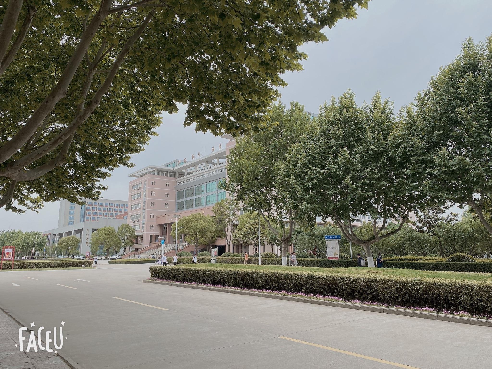 宿州学院东校区的校园环境怎么样