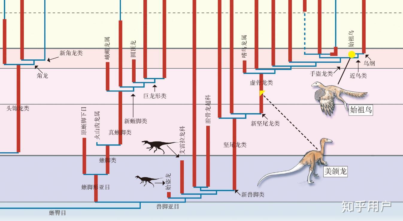 恐龙变成鸟类的进化图图片