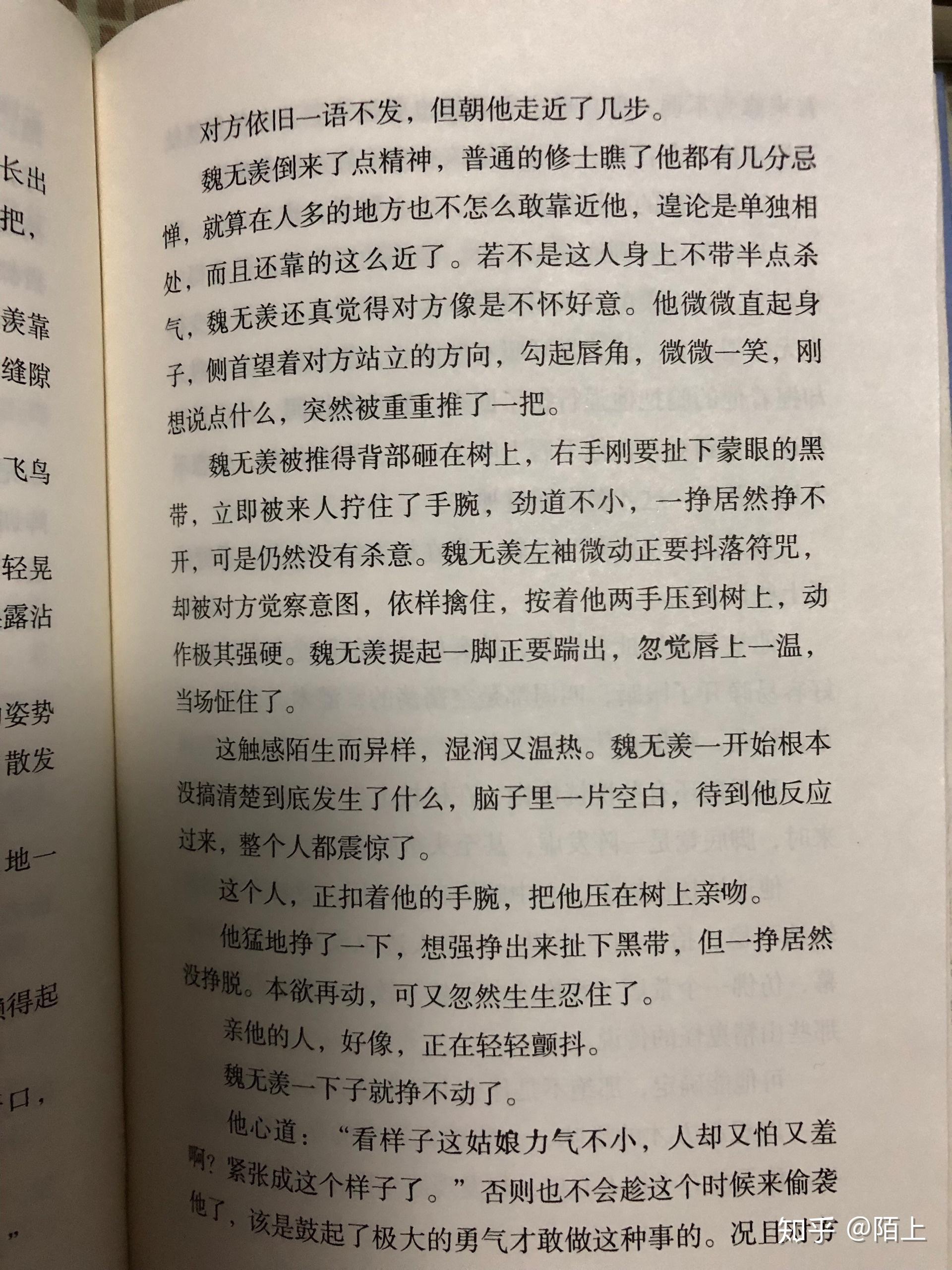 魔道祖師百鳳山藍湛偷親是的內心活動是什麼樣的