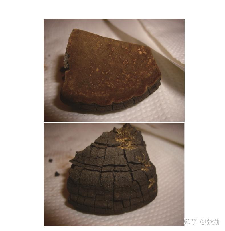 桑黄如何辨别真假！使用桑黄应该注意哪些事项！ - 知乎